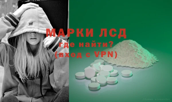 спиды Абаза