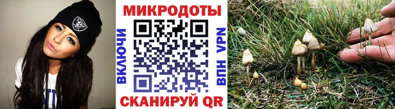 Галлюциногенные грибы Cubensis  мега ТОР  Луза 